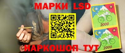 spice Кунгур