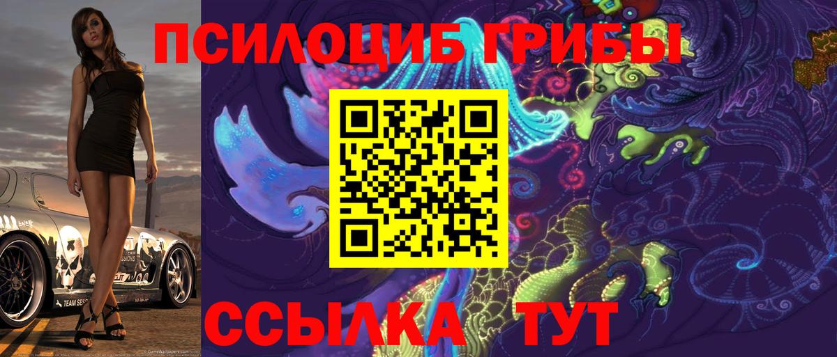 Галлюциногенные грибы Psilocybine cubensis  Вход с VPN  Канаш 