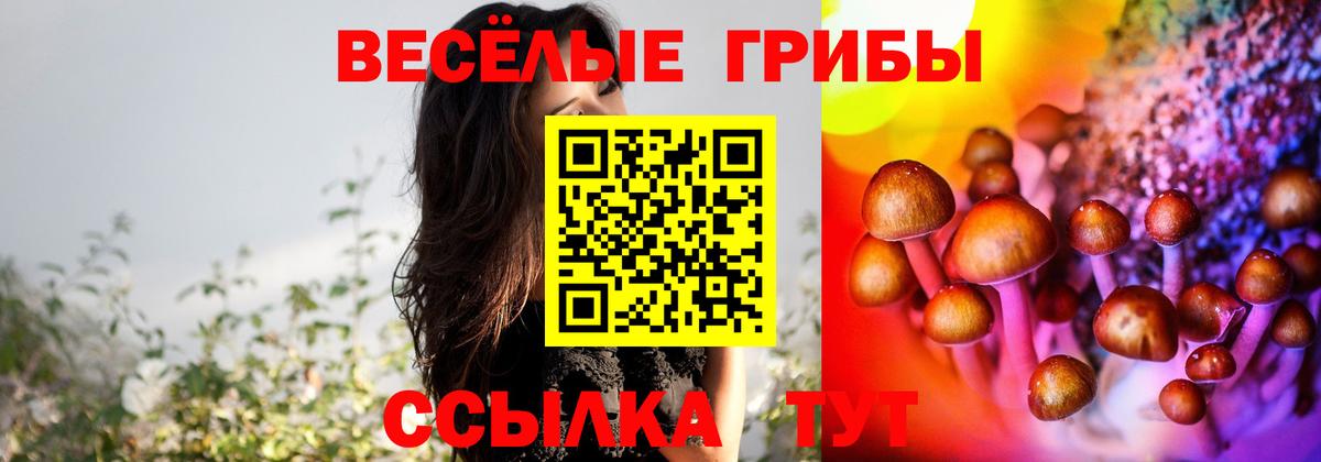 Псилоцибиновые грибы GOLDEN TEACHER Канаш