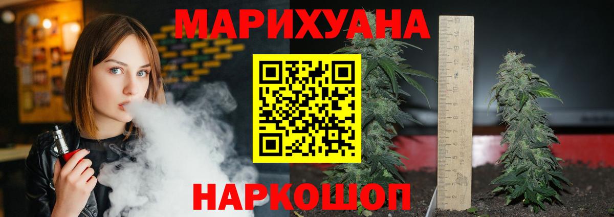 Канабис конопля  Вход с VPN  Шишки марихуана план  Канаш  Канабис SATIVA & INDICA 
